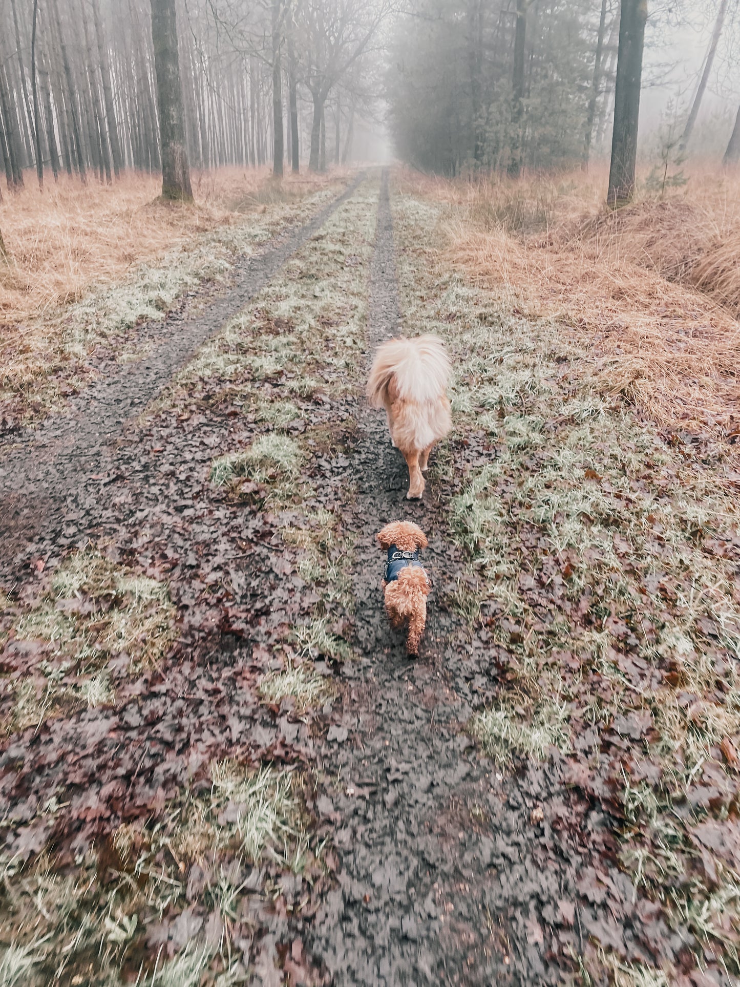 Vrije Poten Wandeling