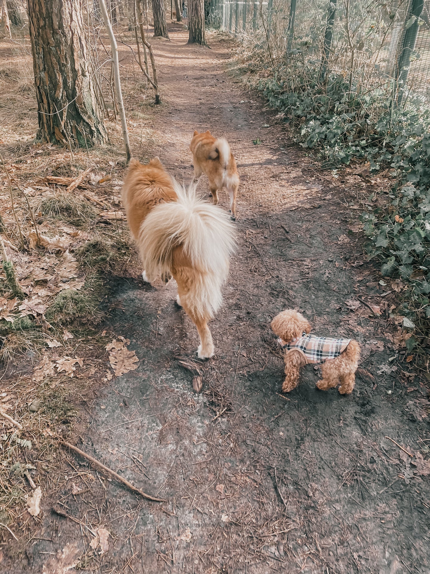 Vrije Poten Wandeling