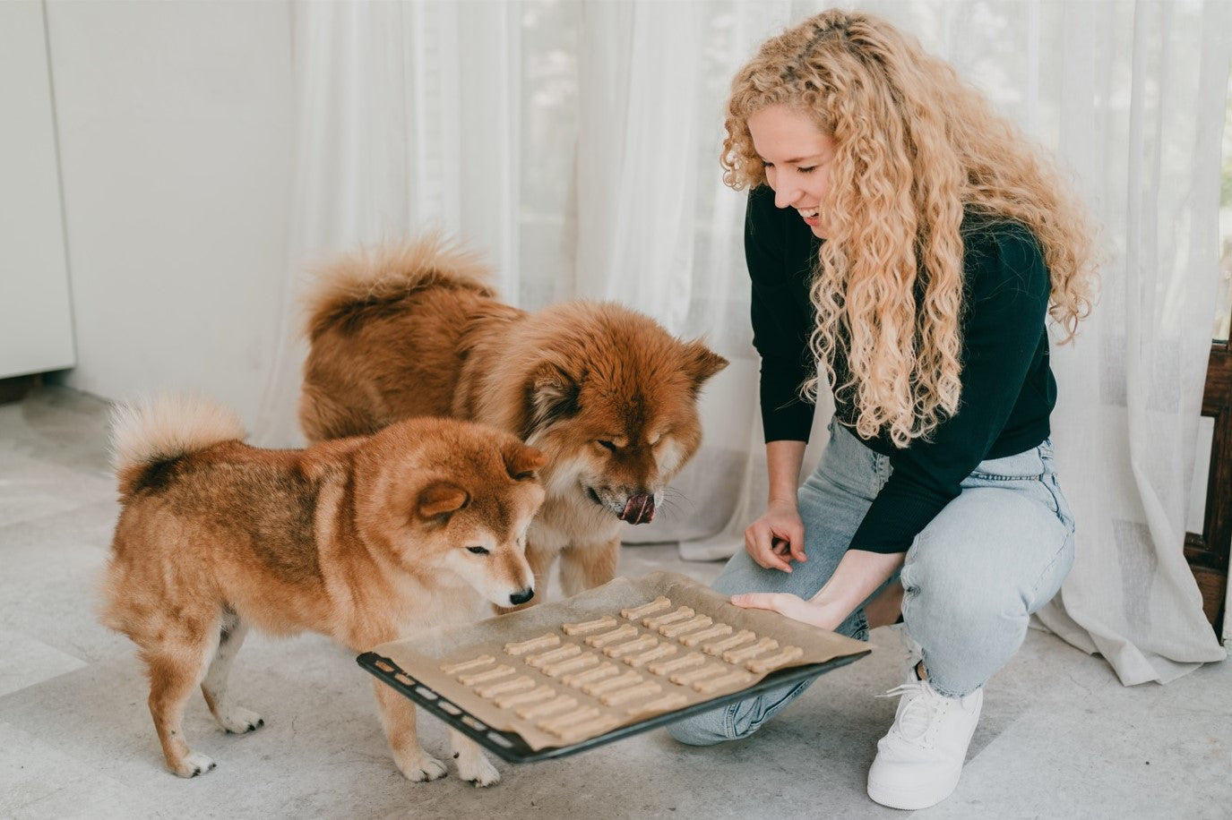 Startkit DIY gezonde, glutenvrije hondenkoekjes