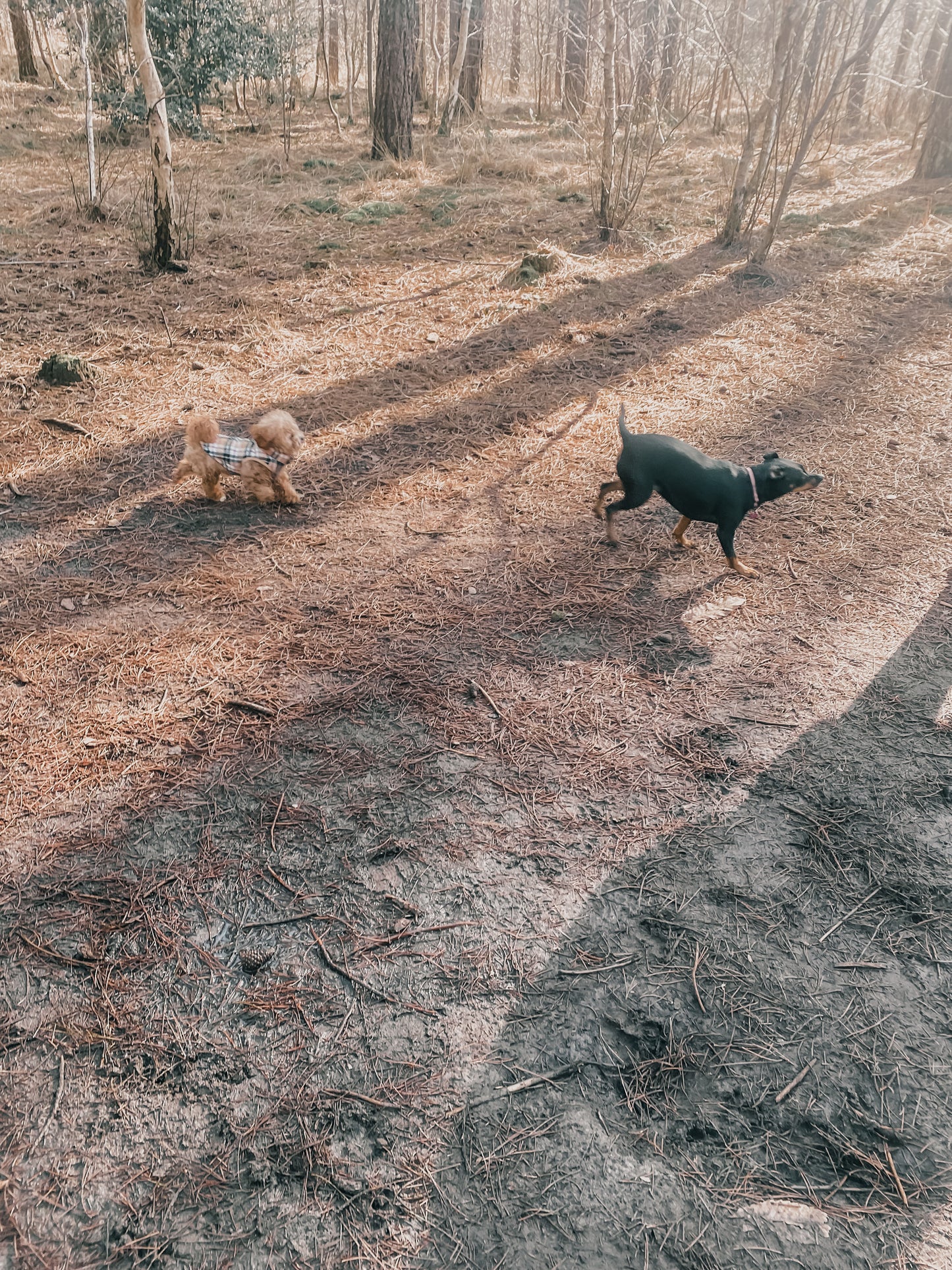 Vrije Poten Wandeling