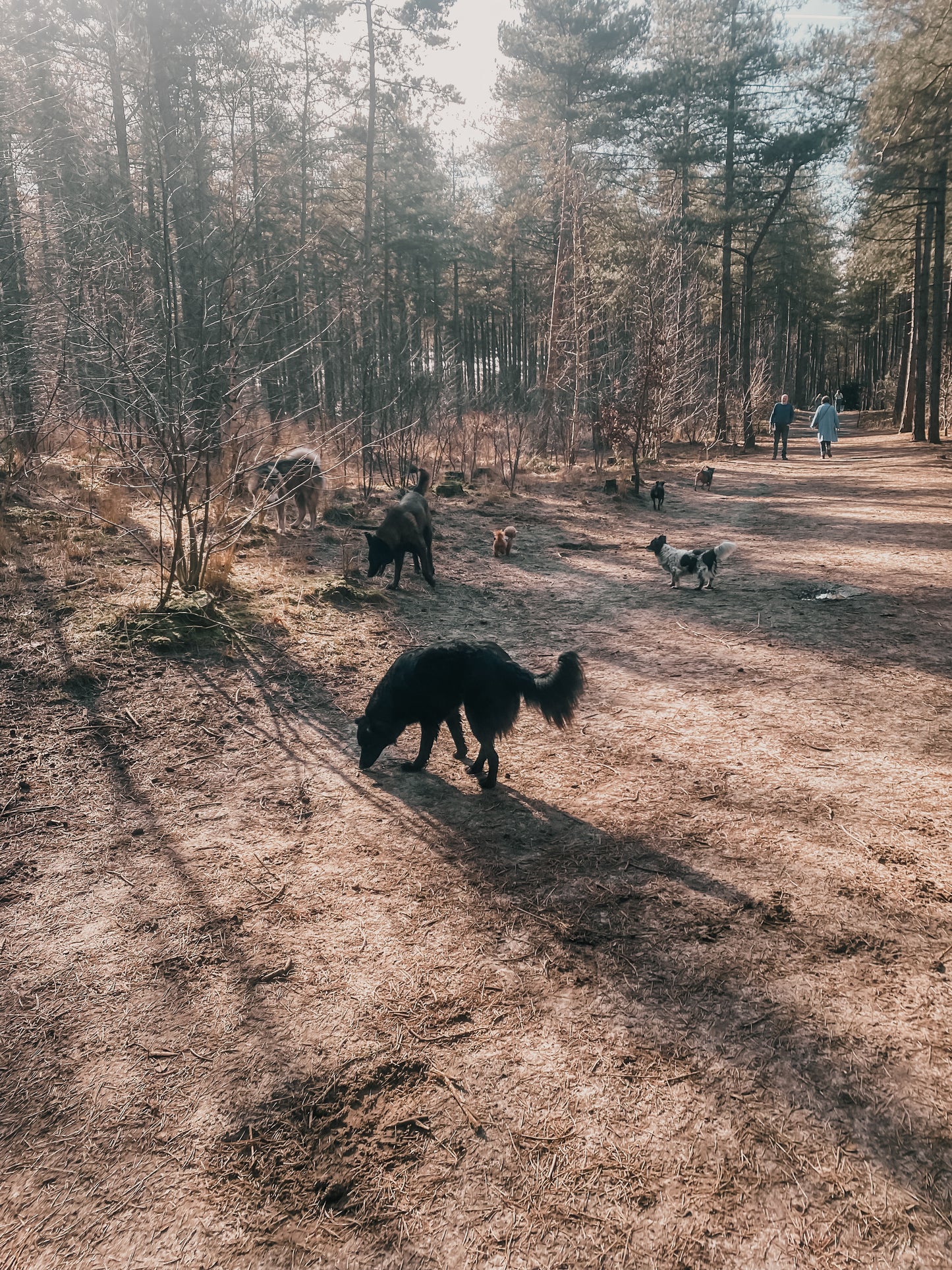 Vrije Poten Wandeling