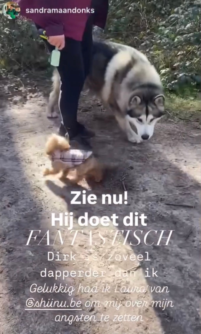 Vrije Poten Wandeling