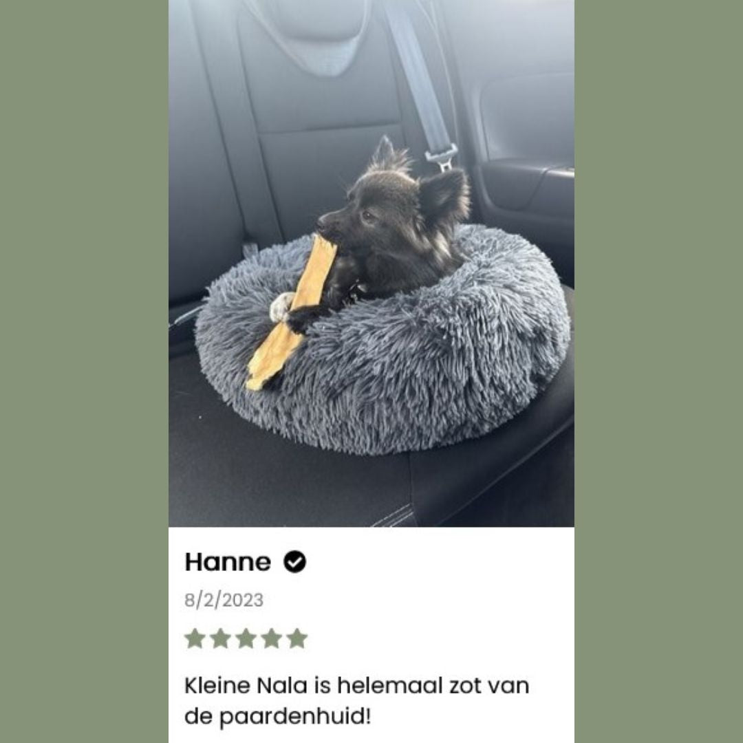 Paardenhuid