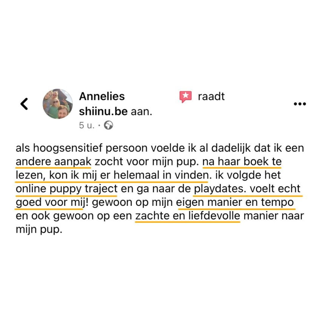 Welkom pup
