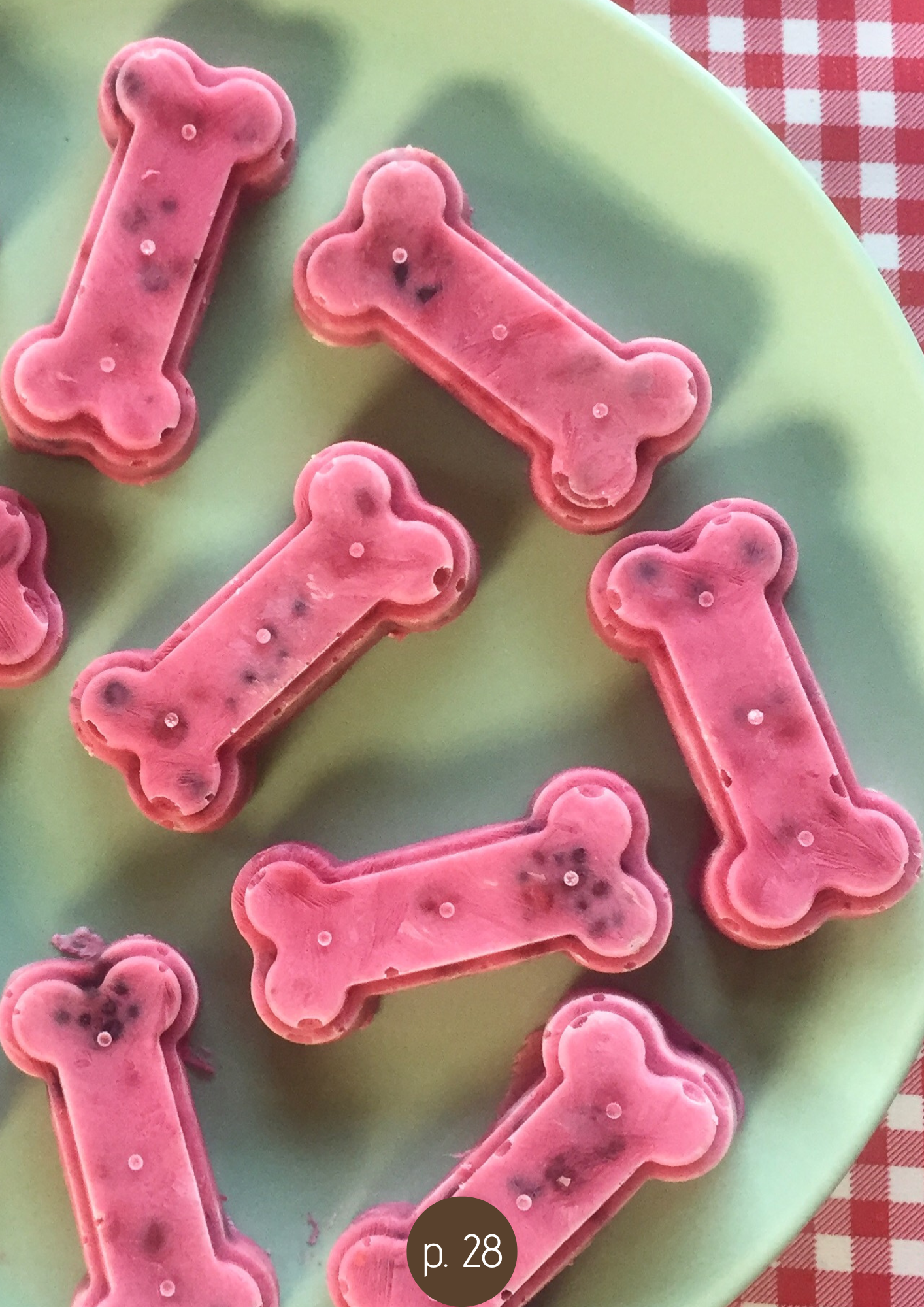 DIY dogtreats receptenboekje
