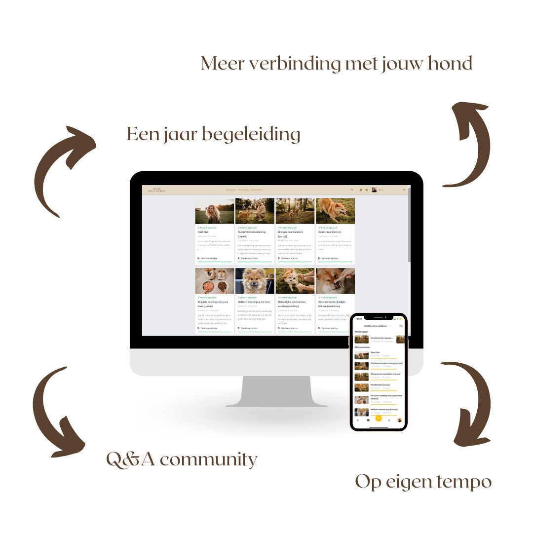 SHIINU foundations - cursusbundel