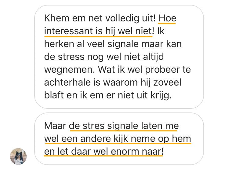 Hondentaal