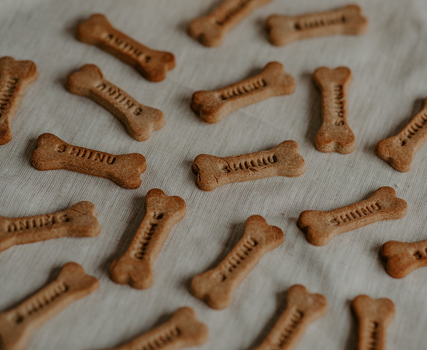 Uitsteekvorm botje | hondenkoekjes