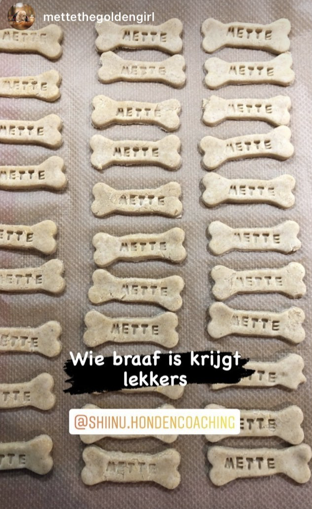 Uitsteekvorm botje | hondenkoekjes