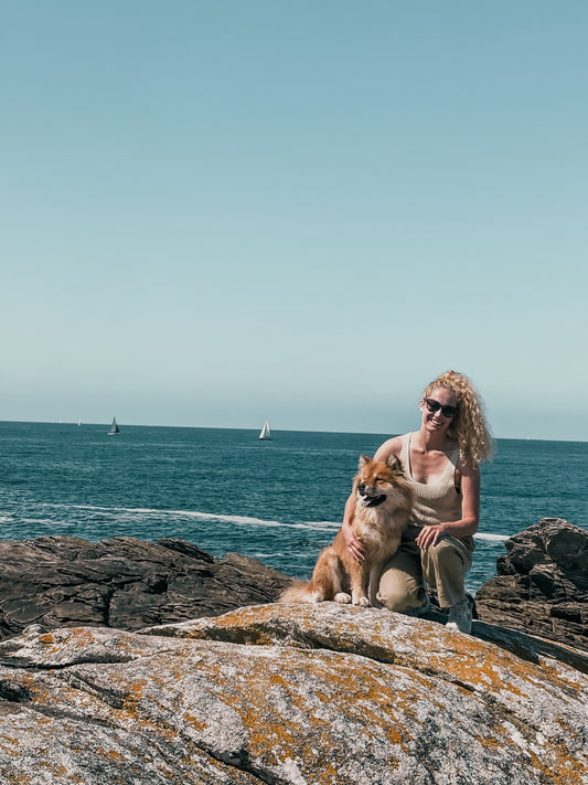 Roadtrip Zuid-Bretagne