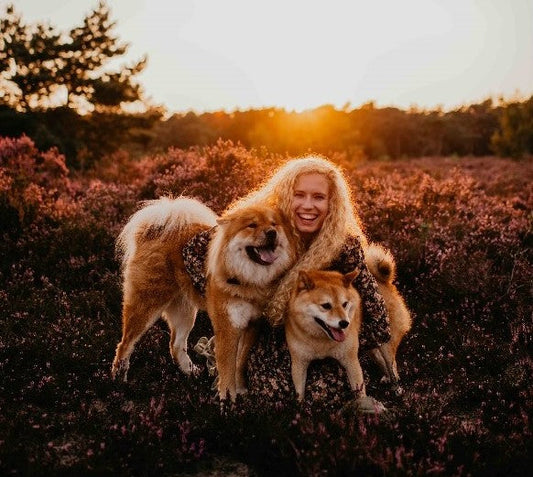 3 essentiële tips voor meer verbinding met jouw hond