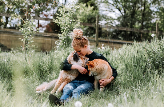 6 gouden tips voor de positieve opvoeding van jouw hond
