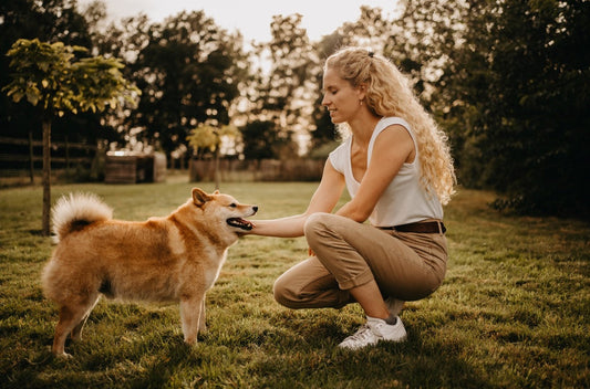 4 voordelen van positieve hondentraining