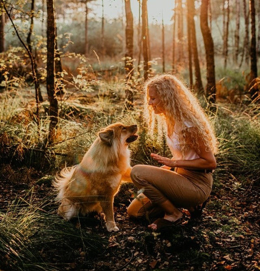 3 belangrijke vaardigheden om je hond op te voeden