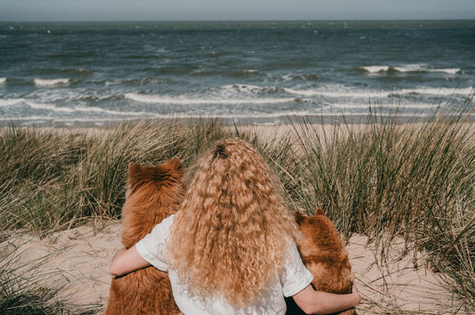 WOEF: Hondencoach Laura Lefebvre deelt tips om nog meer in verbinding met je viervoeter te komen.