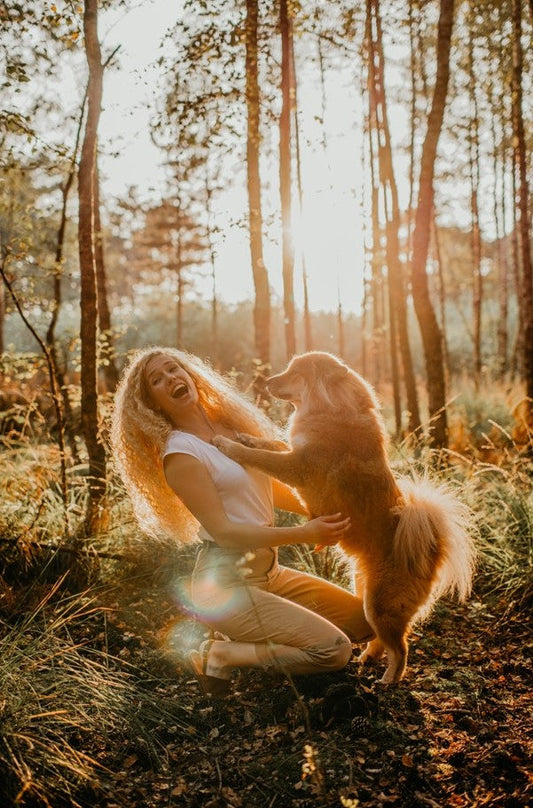Dit is hoe je duidelijke grenzen stelt aan jouw hond