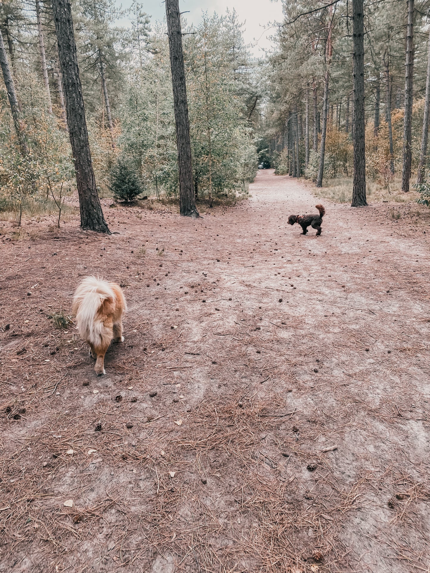 Vrije Poten Wandeling