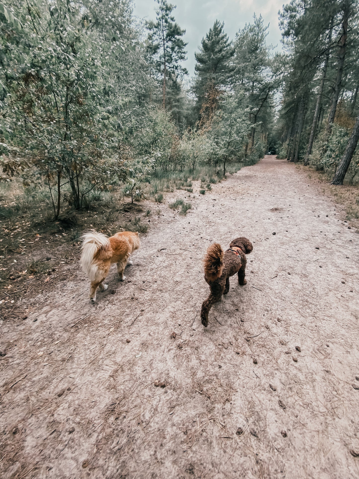 Vrije Poten Wandeling