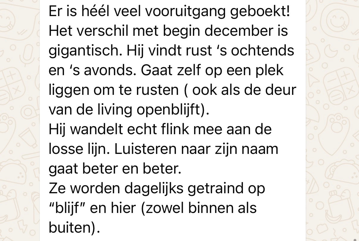 SHIINU Guided Journey