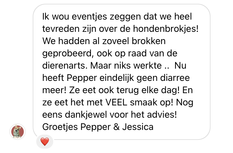 De juiste voeding voor jouw hond