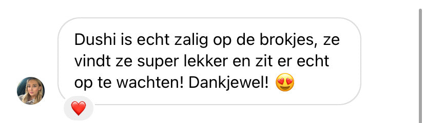 De juiste voeding voor jouw hond