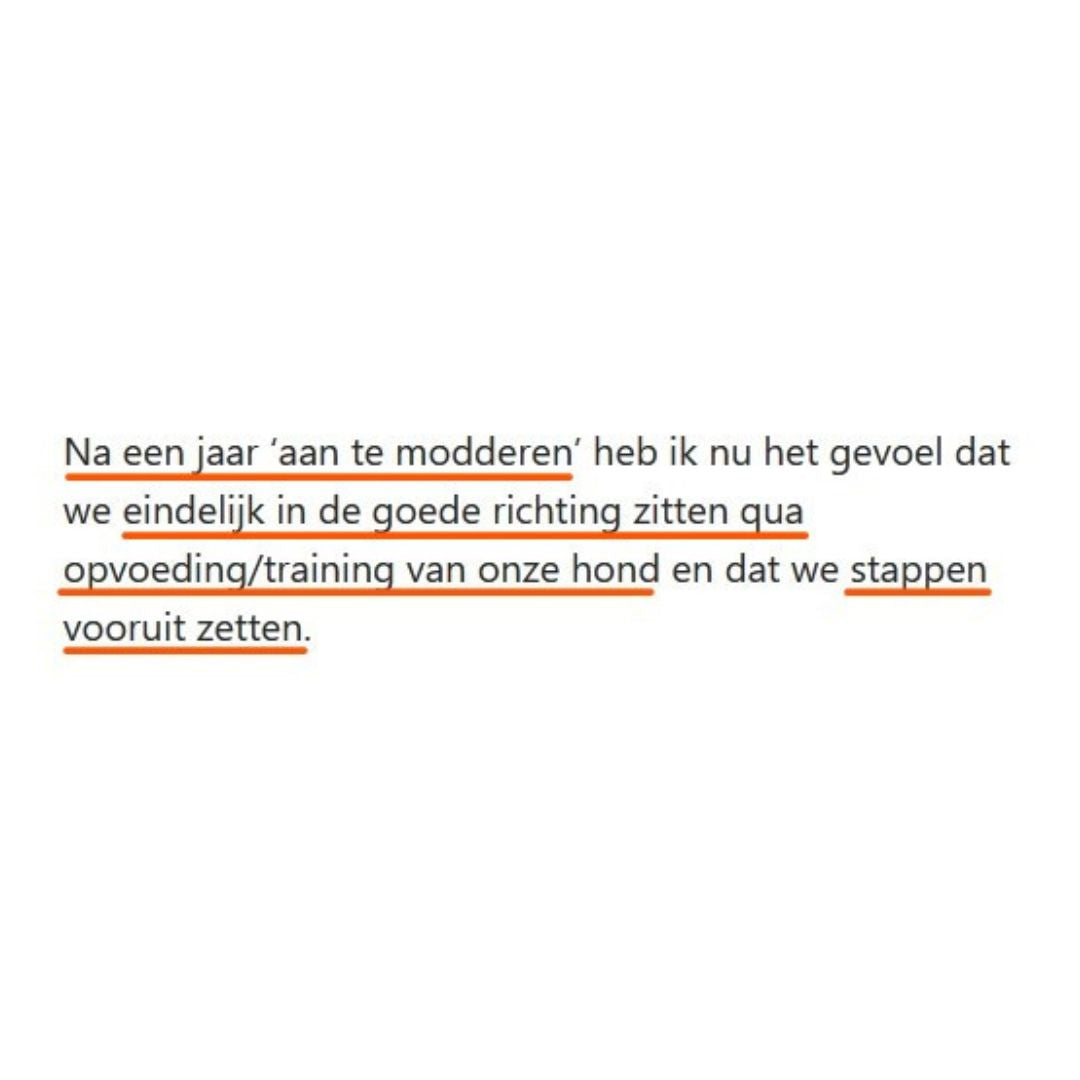 Positieve hondentraining van A tot Z