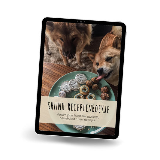 DIY dogtreats receptenboekje
