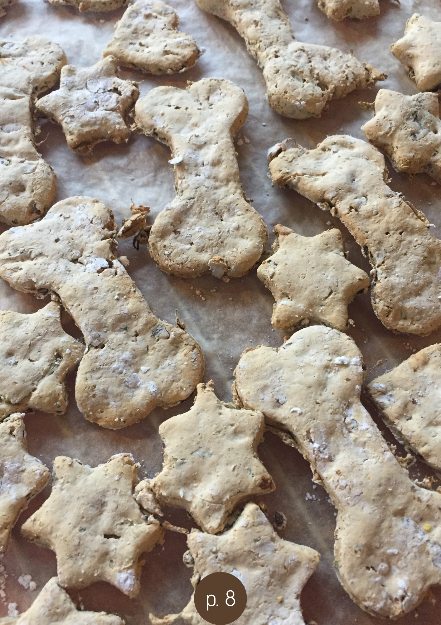 DIY dogtreats receptenboekje
