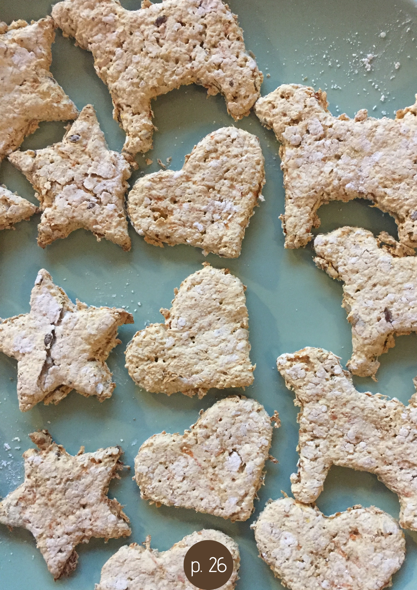 DIY dogtreats receptenboekje