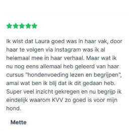 De juiste voeding voor jouw hond