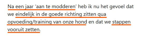 Positieve hondentraining van A tot Z